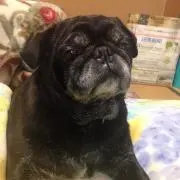ブンタロウ