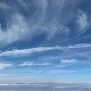 モグラさんの画像