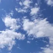 とうふの画像