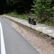 たこの画像