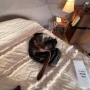 もんちっちの画像
