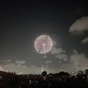 みかんの画像