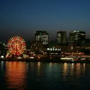 バニネコ