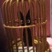yossiee~プロフ見てね