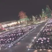 西橋奈未 高田ひかる 平山智加 守屋美穂 大山千広 競艇 ボート サイン