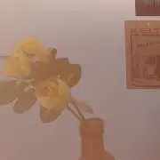 かんきの画像