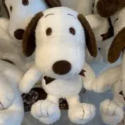 Meiの画像