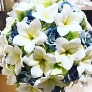 ◡̈の画像