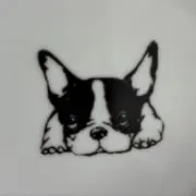 ちゃちゃの画像