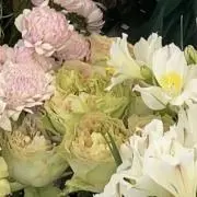 日曜日発送お休みしますの画像