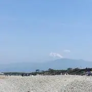 pinの画像