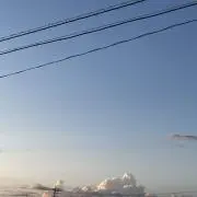 カリカリ梅の画像