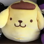 ひーこの画像