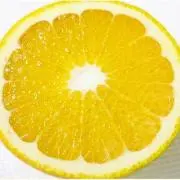 甘夏