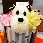 もみじの画像