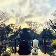 chimの画像