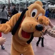 みの画像