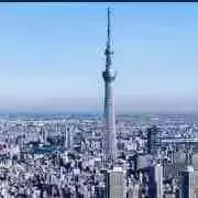 れん★購入前に在庫確認のコメント願いますの画像