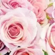 minsの画像