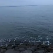 俺の画像