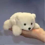 Ｙの画像