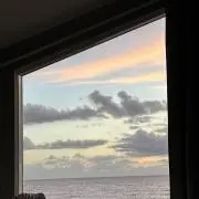 べあの画像