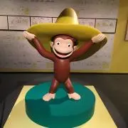 こざる