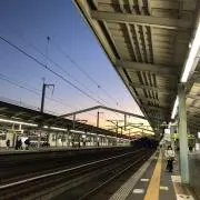 ハシモトの画像