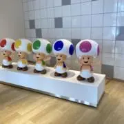 もいもいの画像