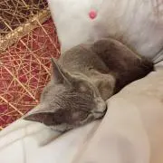 らりるる☆