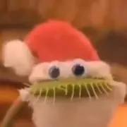 にんじん