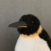 ERREの画像