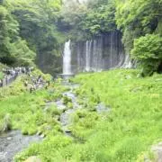 Š&Ǎ ONLINEの画像