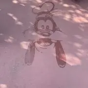 タカの画像