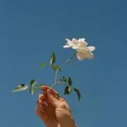 Mana