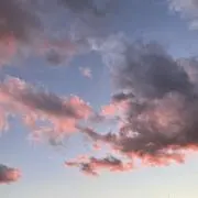 nn