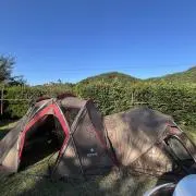 のりのり