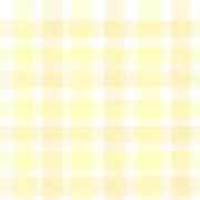 きいろの画像