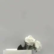 あかの画像
