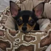 ゆっこの画像