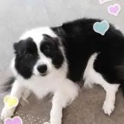 みゆ