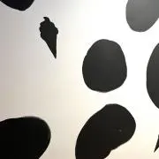 あんもにあの画像