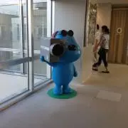 ぴすけの画像