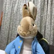 うさぎの画像