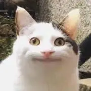 ぬん