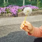 さーちゃんの画像