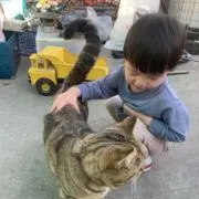 Nika2302の画像