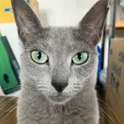 めるの画像