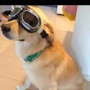 けんた