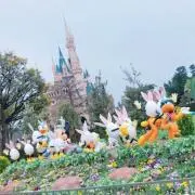 ねねの画像